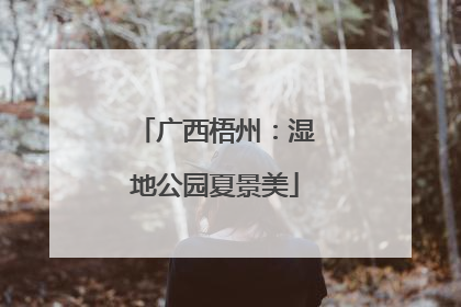 广西梧州：湿地公园夏景美