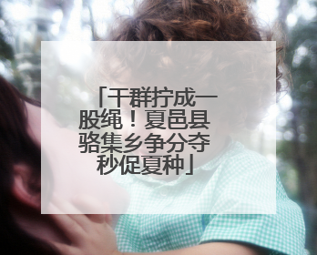 干群拧成一股绳！夏邑县骆集乡争分夺秒促夏种