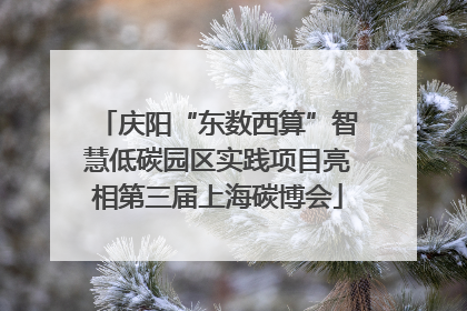 庆阳“东数西算”智慧低碳园区实践项目亮相第三届上海碳博会