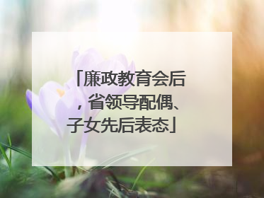 廉政教育会后，省领导配偶、子女先后表态