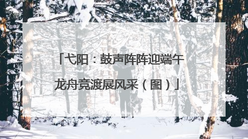 弋阳：鼓声阵阵迎端午 龙舟竞渡展风采（图）