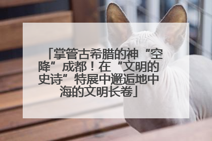 掌管古希腊的神“空降”成都！在“文明的史诗”特展中邂逅地中海的文明长卷