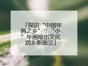 探访“中国年画之乡”：“小”年画绘出文化润乡新图景