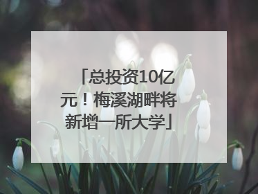 总投资10亿元！梅溪湖畔将新增一所大学