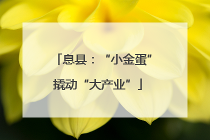 息县：“小金蛋”撬动“大产业”