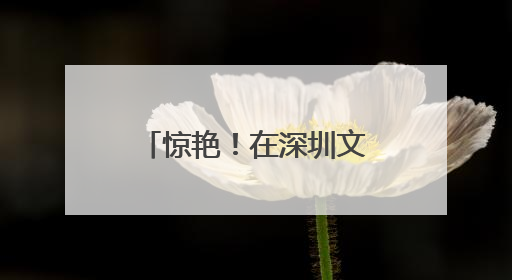 惊艳！在深圳文博会感受旌阳非遗的独特魅力