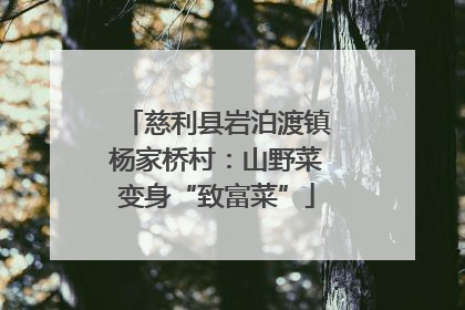 慈利县岩泊渡镇杨家桥村：山野菜变身“致富菜”