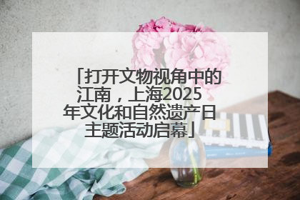 打开文物视角中的江南，上海2025年文化和自然遗产日主题活动启幕
