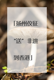 扬州仪征“送”非遗到香港