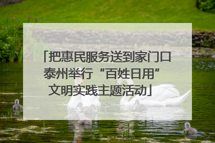 把惠民服务送到家门口 泰州举行“百姓日用”文明实践主题活动