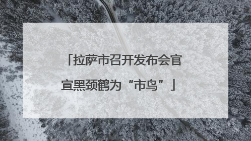 拉萨市召开发布会官宣黑颈鹤为“市鸟”