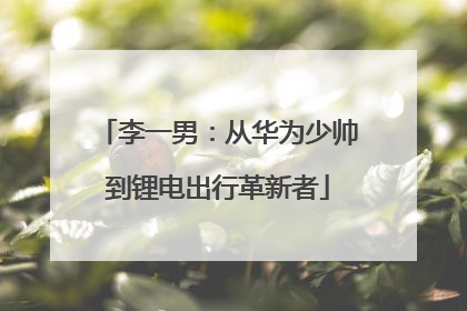 李一男：从华为少帅到锂电出行革新者