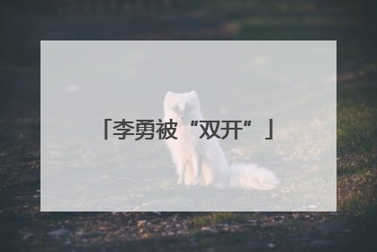 李勇被“双开”