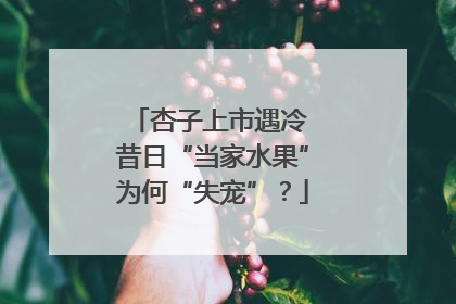 杏子上市遇冷 昔日“当家水果”为何“失宠”？