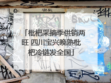 枇杷采摘季供销两旺 四川宝兴晚熟枇杷冷链发全国