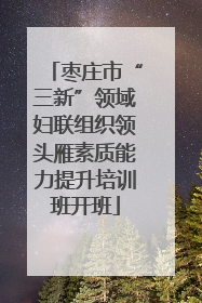 枣庄市“三新”领域妇联组织领头雁素质能力提升培训班开班