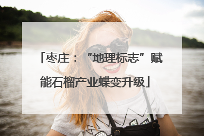 枣庄：“地理标志”赋能石榴产业蝶变升级