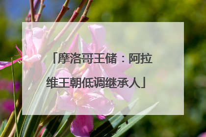 摩洛哥王储：阿拉维王朝低调继承人