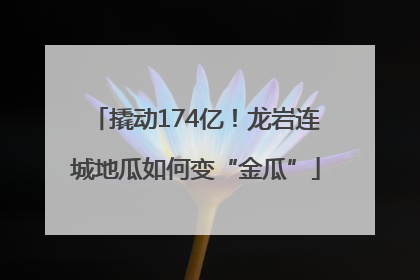 撬动174亿！龙岩连城地瓜如何变“金瓜”