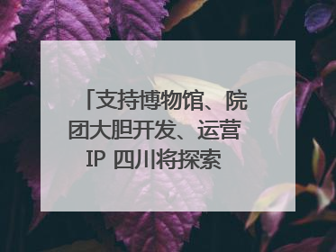 支持博物馆、院团大胆开发、运营IP 四川将探索建立新的收入分配激励机制｜新闻发布最前线