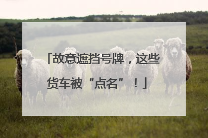 故意遮挡号牌，这些货车被“点名”！