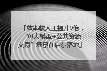 效率较人工提升9倍，“AI大模型+公共资源交易”场景在启东落地
