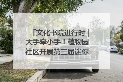 文化书院进行时｜大手牵小手！植物园社区开展第三届迷你马拉松活动