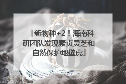 新物种+2！海南科研团队发现素贞灵芝和自然保护地壁虎