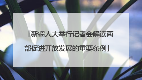 新疆人大举行记者会解读两部促进开放发展的重要条例