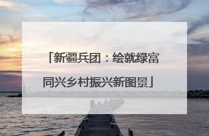 新疆兵团：绘就绿富同兴乡村振兴新图景