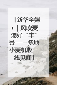 新华全媒+｜风吹麦浪好“丰”景——多地小麦机收一线见闻