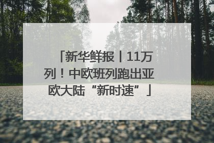 新华鲜报丨11万列！中欧班列跑出亚欧大陆“新时速”