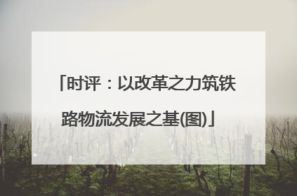 时评：以改革之力筑铁路物流发展之基(图)