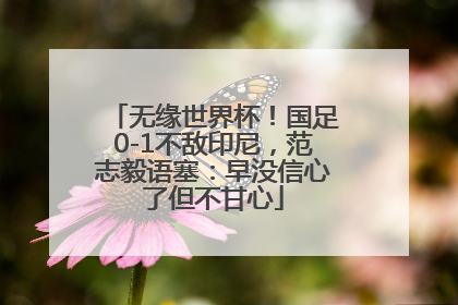 无缘世界杯！国足0-1不敌印尼，范志毅语塞：早没信心了但不甘心
