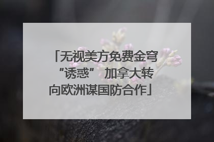 无视美方免费金穹“诱惑” 加拿大转向欧洲谋国防合作
