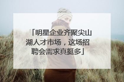 明星企业齐聚尖山湖人才市场，这场招聘会需求真挺多