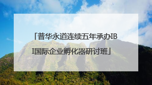 普华永道连续五年承办IBI国际企业孵化器研讨班