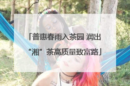普惠春雨入茶园 润出“湘”茶高质量致富路