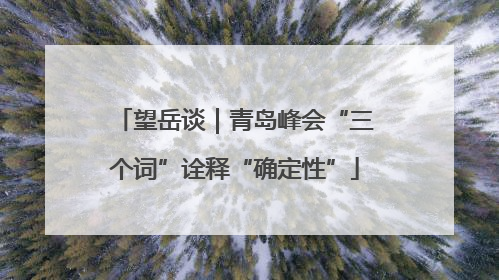 望岳谈｜青岛峰会“三个词”诠释“确定性”