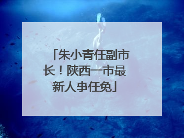 朱小青任副市长！陕西一市最新人事任免