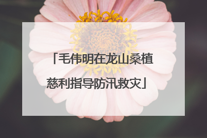 毛伟明在龙山桑植慈利指导防汛救灾