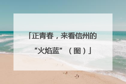 正青春，来看信州的“火焰蓝”（图）