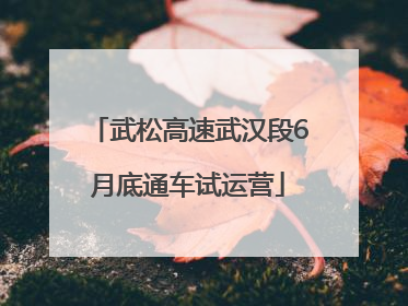 武松高速武汉段6月底通车试运营