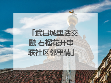 武昌城里话交融 石榴花开串联社区邻里情