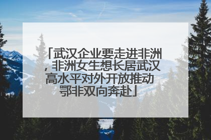 武汉企业要走进非洲，非洲女生想长居武汉 高水平对外开放推动鄂非双向奔赴