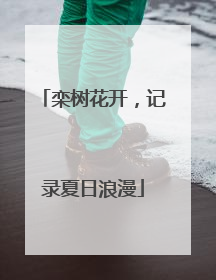 栾树花开，记录夏日浪漫