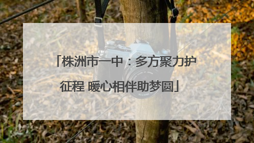 株洲市一中：多方聚力护征程 暖心相伴助梦圆