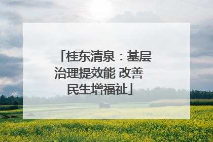 桂东清泉：基层治理提效能 改善民生增福祉