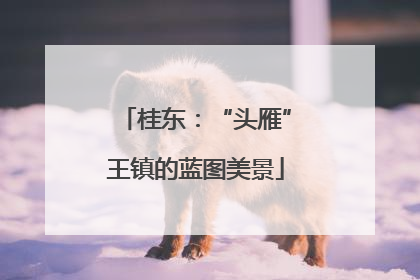 桂东：“头雁”王镇的蓝图美景