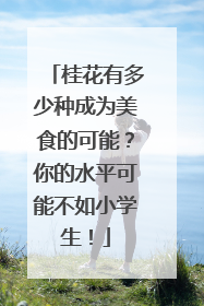 桂花有多少种成为美食的可能？你的水平可能不如小学生！